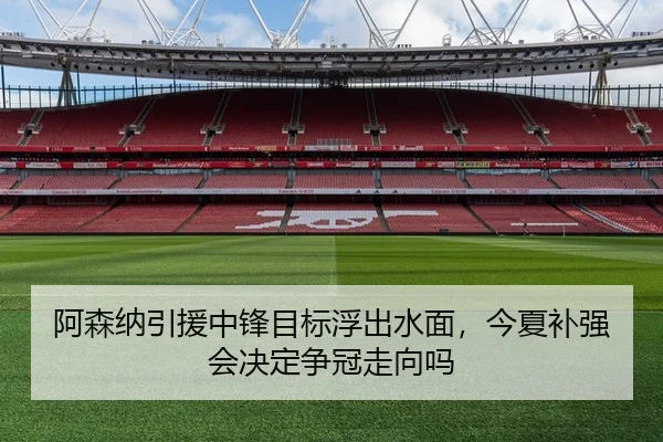 阿森纳引援中锋目标浮出水面，今夏补强会决定争冠走向吗